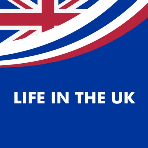 Is Mod APK icon