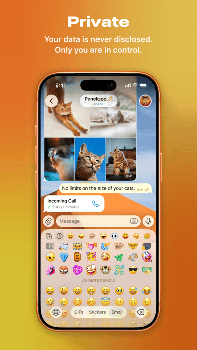 Telegram Premium Pro MOD APK v12.9.3 Screenshot 3
