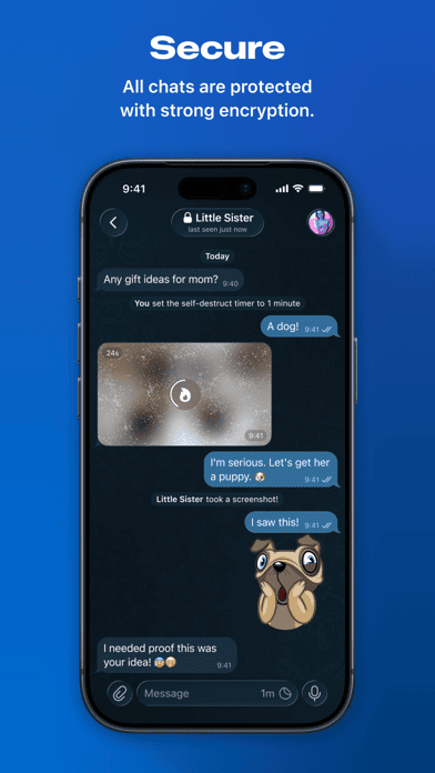 Telegram Premium Pro MOD APK v12.9.3 Screenshot 4