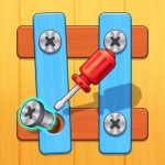 Nuts Bolts 3D No Ads MOD APK (Pro Unlocked)