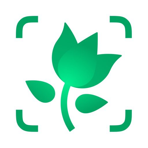 PictureThis Mod Apk